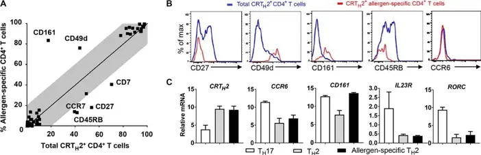 TH2 cells associated with allergies identified by mass cytometry