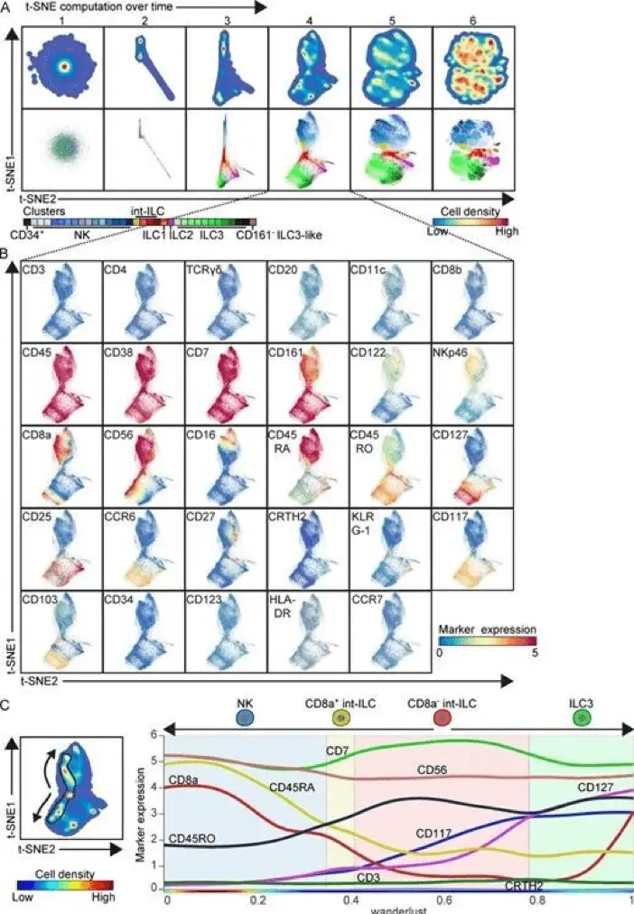 t-SNE and pseudotime