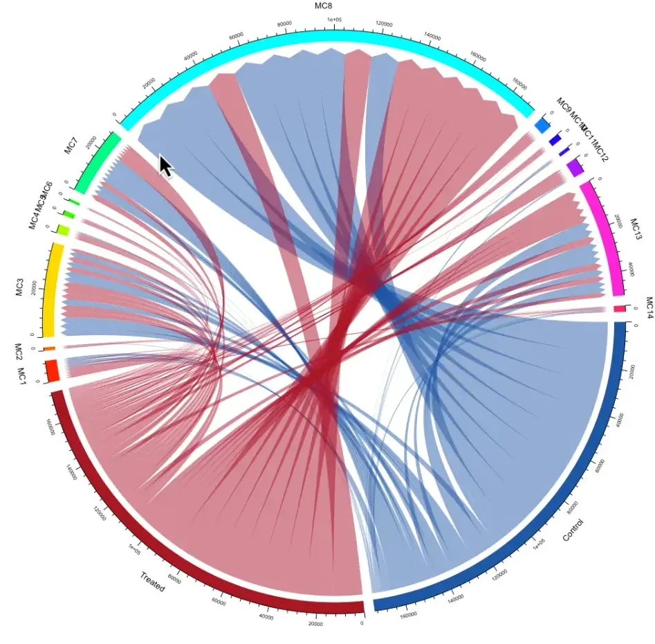 Module 2 — AI-Enhanced Visualizations