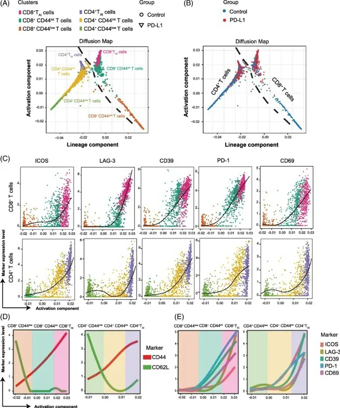 Destiny | Learn Cytometry Destiny algorithm