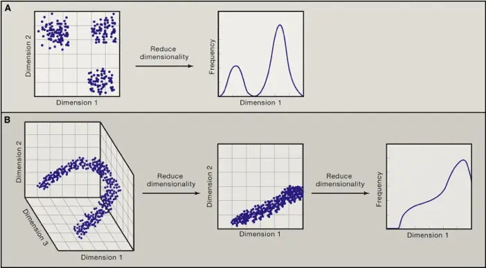 Dimensional reduction
