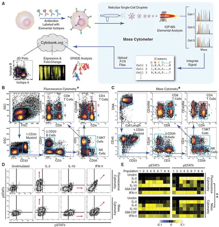 Picture1 | Learn Cytometry