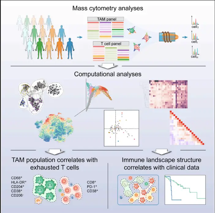 Picture1 | Learn Cytometry Mass cytometry analysis and computational analysis