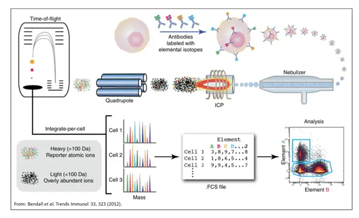 Picture2 | Learn Cytometry