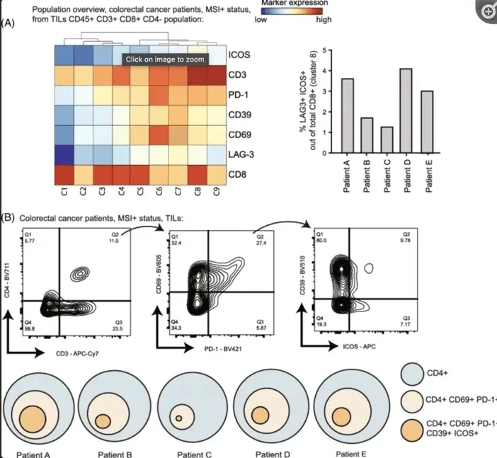 Beryend et al. | Learn Cytometry TILs overview in CRC