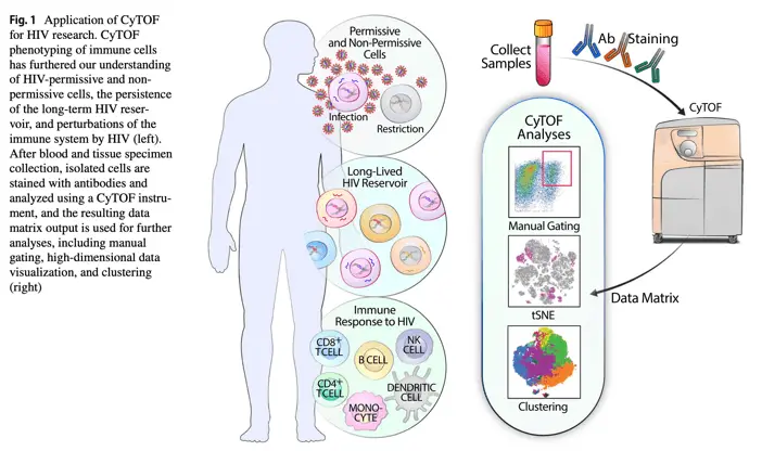 CyTOF and HIV protocol | Learn Cytometry CyTOF and HIV protocol