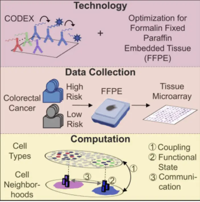 Imaging CyTOF | Learn Cytometry Imaging CyTOF