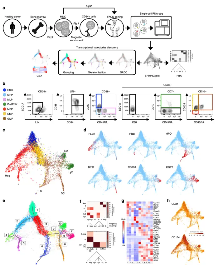 Trajectory discovery | Learn Cytometry Progression and transcriptional trajectories dicoveries