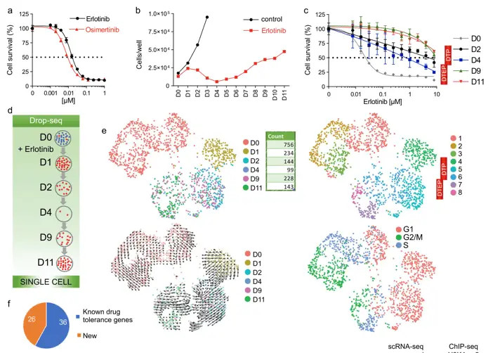 Drug screening performed by single cell analysis | Learn Cytometry Drug screening performed by single cell analysis