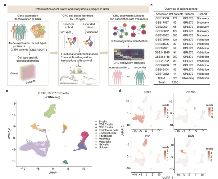 Picture14 | Learn Cytometry Linking cell phenotype and progression free survival