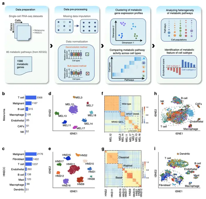 Metabolics and mass cytometry | Learn Cytometry Metabolics and mass cytometry