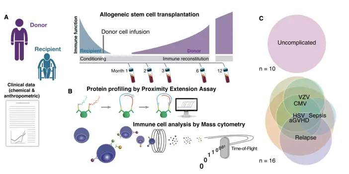 Picture17 | Learn Cytometry Global immune signatures predicting clinical outcomes