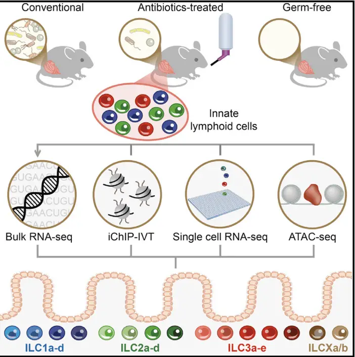 Microbiome and mass cytometry | Learn Cytometry Microbiome and mass cytometry