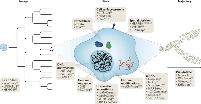 Overview of single cell techniques | Learn Cytometry Overview of single cell techniques