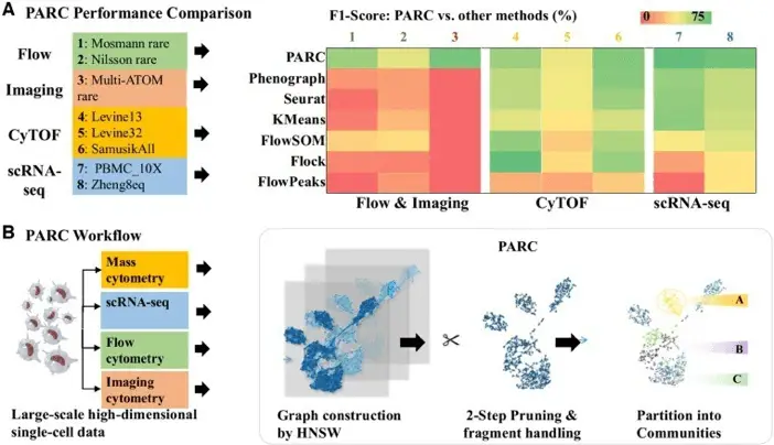 PARC algorithm | Learn Cytometry Performance and workflow of PARC algorithm