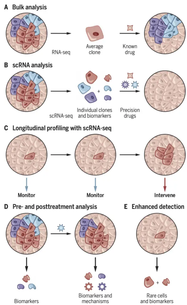 Different RNA sequencing analysis | Learn Cytometry Different RNA sequencing analysis